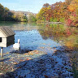 Meet your Posher, Munevver